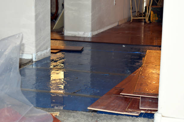 Professional Burst Pipe Cleanup technician working in London, OH